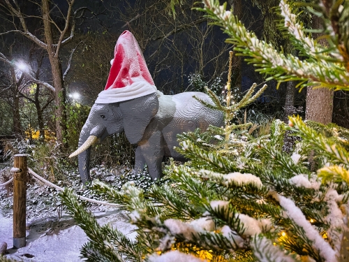 Elefantendame Elli präsentiert vor der Safari Tour stolz die größte Weihnachtsmütze, die es je im LEGOLAND Deutschland Resort zu bestaunen gab.