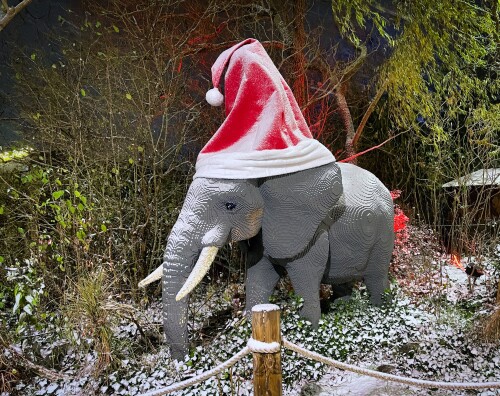 Mit über zwei Metern Höhe und einem Umfang von 4,5 Metern bricht die rote Zipfelmütze mit weißem Bommel alle Rekorde. Gemeinsam mit ihren festlich geschmückten Dschungelfreunden bringt Elli ab sofort vorweihnachtliche Stimmung in die zum ersten Mal auch im Winter geöffnete Safari Tour beim WinterWonder LEGOLAND.