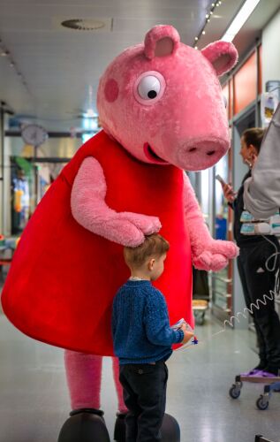 Zum Internationalen Kinderkrebstag am 15. Februar besucht Peppa Wutz vom PEPPA PIG Park in Günzburg das Kinderklinikum in Ulm und bringt Abwechslung in den Klinikalltag.