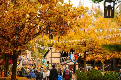 Während Halloween im LEGOLAND entdecken Familien auf dem BOO-levard Spuren lustiger Streiche, wandeln im neuen LaBOOrynth auf verschlungenen Wegen durch echte Strohballen und bekommen bei der Hexen BOOde von der LEGO Hexe süße Überraschungen.